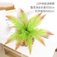 XU0610798